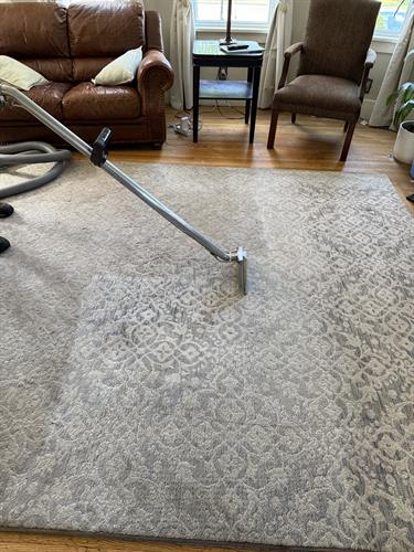 The before and after of cleaning this area rug had them book their next appointment so it never gets that dirty again. 
