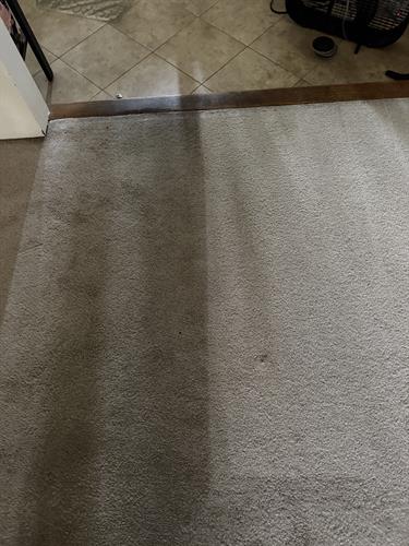 The cleaning of traffic patterns throughout this carpeting.