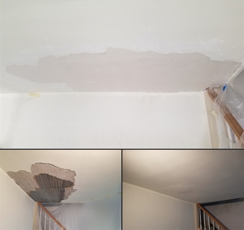 Gallery Image plaster-bulge-repair-williamsville-carrigan-painting.jpg