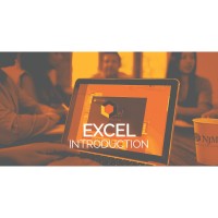 Excel Introduction - Virtual