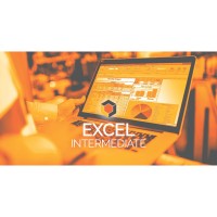 Excel Intermediate - Virtual