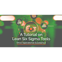 A Tutorial on Lean Six Sigma Tools - Virtual