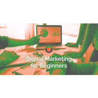 Digital Marketing for Beginners - Live - North