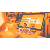 Excel Intermediate - Virtual