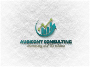 AUDICONT CONSULTING LLC
