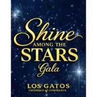 Shine Among the Stars: 2026 Chamber Gala