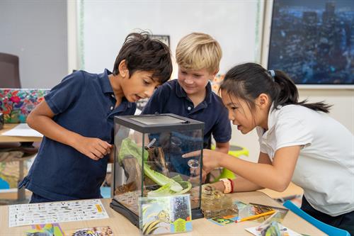 Gallery Image DSC06268.jpg