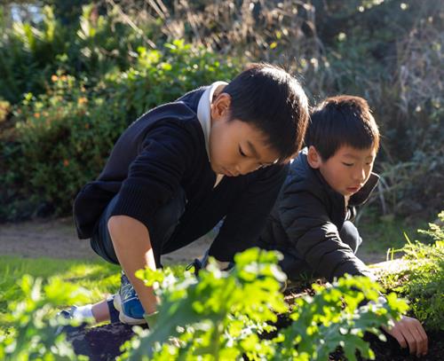 Gallery Image DSC06638.jpg