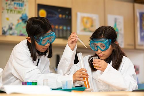 Gallery Image Page_2.JPG