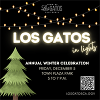 Los Gatos in Lights