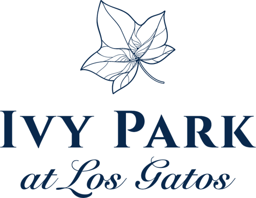 Gallery Image Ivy_Park_1.png