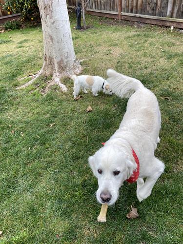 Play time!