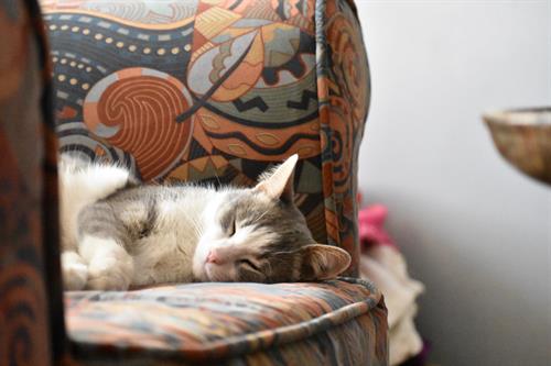 Sleep time