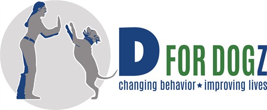 D For Dogz
