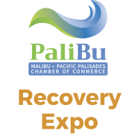 Recovery EXPO with PaliBu Chamber of Commerce!