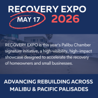 PaliBu Chamber Recovery Expo
