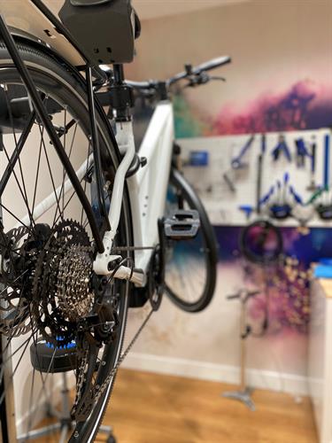 Our Professional Bicycle Service Department