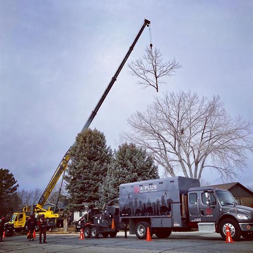 Gallery Image Cottonwood-crane-pick-salt-lake-city-utah.JPG