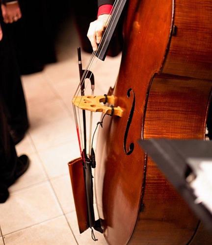 Gallery Image Classical_Musicians.jpg