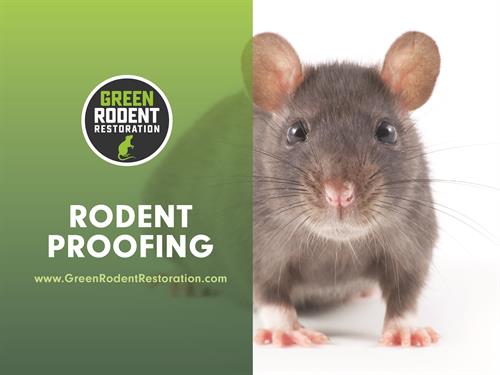 RRODENT PROOFING