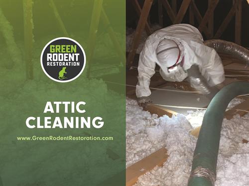 ATTIC CLEANING