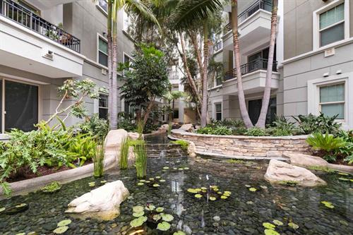Gallery Image Courtyard-Pond-1-High-Res.jpeg