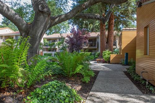 Terra Glen - Multifamily