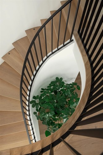 Gallery Image SBP_Chantilly_TwoTone_Houck-13.jpg