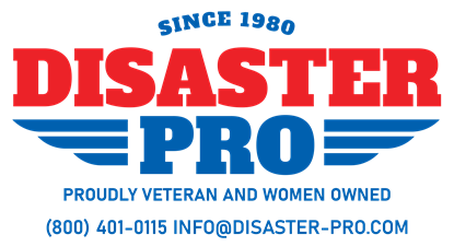 Disaster Pro Disaster Pro