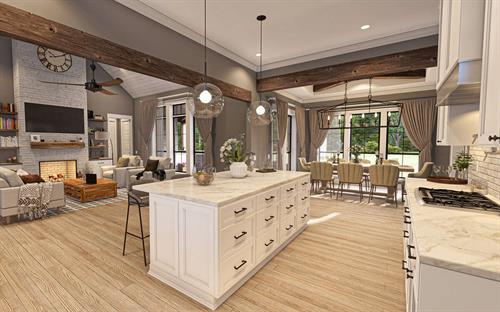 Kitchen / Living Area