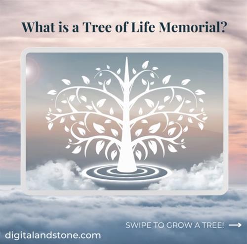 Tree Of Life- Digital Memorial