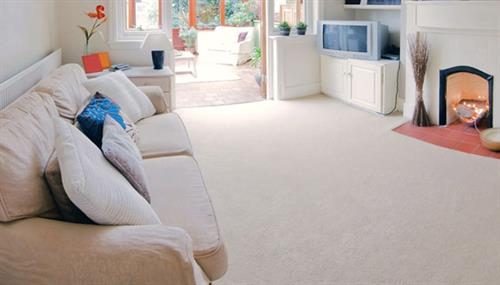 Oakbrook deep cleaning Carpet Cleaning