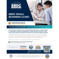 SBDC Small Business Clinic