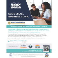 2025 SBDC Small Business Clinic - October