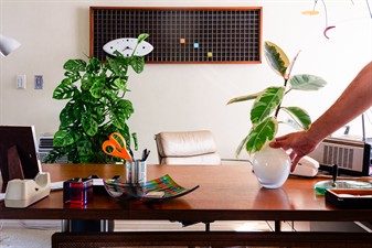 Keith Tamborello Plant Designs