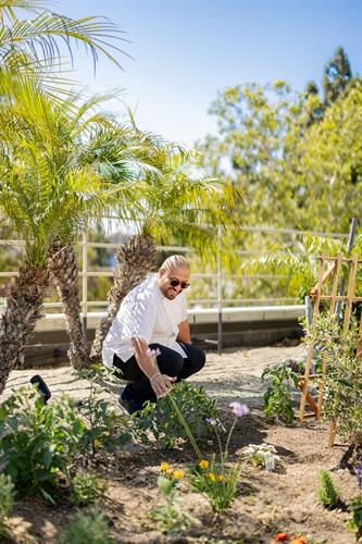 Chef's Garden on Rooftop Terrace
