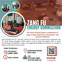 ZANG FU ENERGY CONNECTIONS: 90 minute transformative combination of yoga, meditation and acupuncture