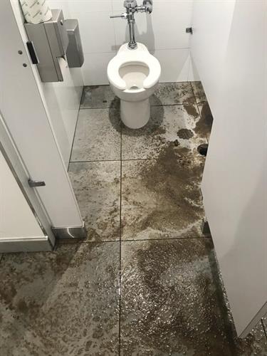 Sewage Clean up. Category 3 water loss. 