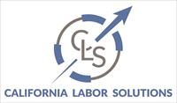 California Labor Solutions LLC
