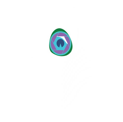Our Logo - The Vibrance in color through the Peacock feather