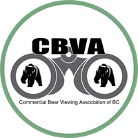 Commercial Bear Viewing Association Small Grant Program for Bear Conservation