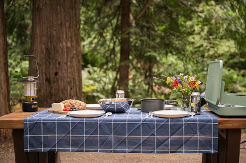 Gallery Image IMG_2361.jpeg