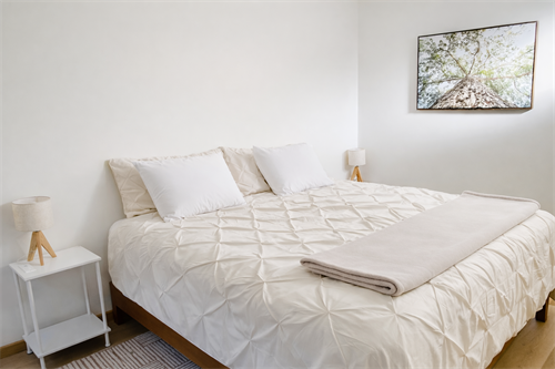 Gallery Image chum.png