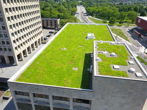 City of Binghamton Green Roof