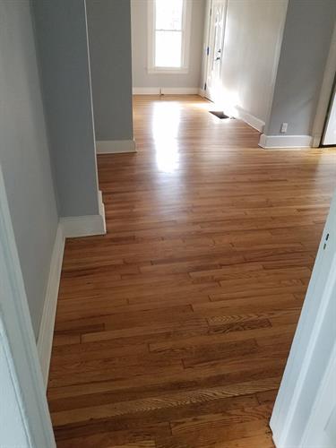 Interior paint and refinished floors