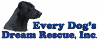 Every Dog's Dream Rescue Every Dog's Dream Rescue