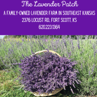 The Lavender Patch Farm ~ Saturday open 9/12