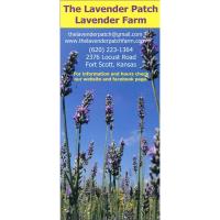 The Lavender Patch Farm ~FAMILY DAY!