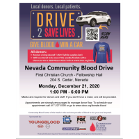 NEVADA COMMUNITY BLOOD DRIVE