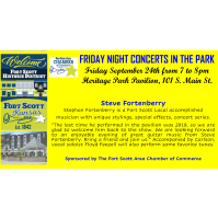 Friday Night Concert in the Park - Steve Fortenberry